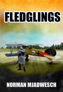 Fledglings front cover